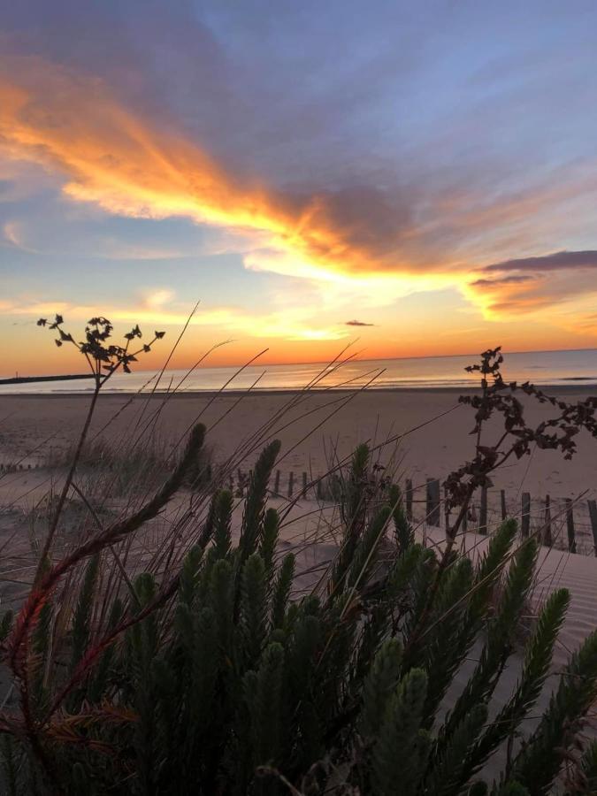 Residence Le Sunset Marseillan-Plage, Entre Mer Et Lagune De Thau, Etape Velo, Famille, Couple, Vrp, Toutou Admis, Jardin, Parking Prive Gratuit, Velos, Clim, Wifi Fibre Gratuite, Commodites, Plage Et Piste Cyclable A Proximite, 6 Couchages Nous Cont Екстер'єр фото